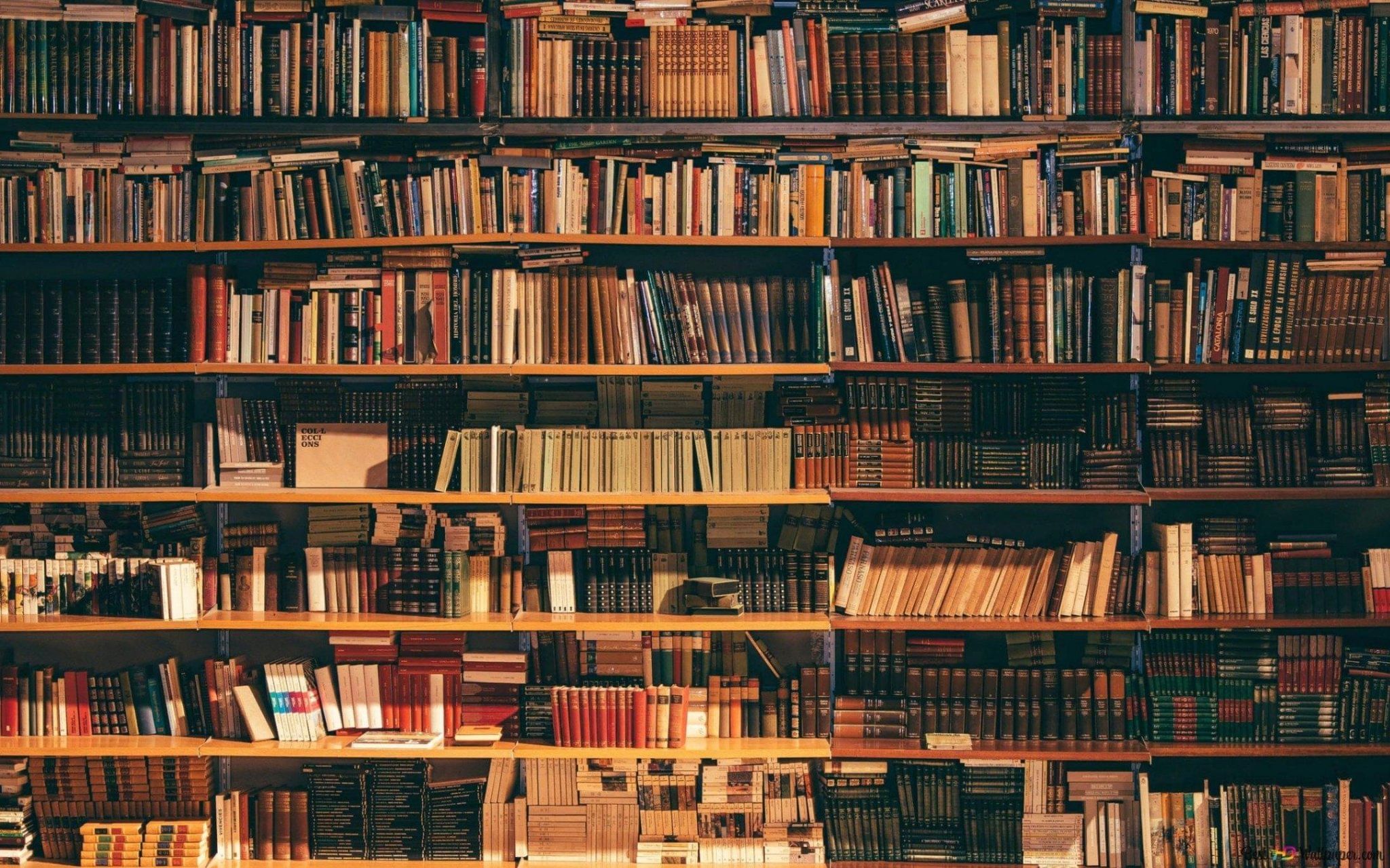 «Изображение к посту “Исторические книги, которые стоит прочитать”»