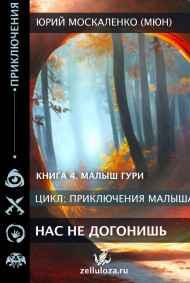 "Нас не догонишь..." книга четвёртая