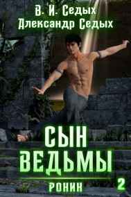 Сын ведьмы 2. Ронин