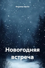 Новогодняя встреча