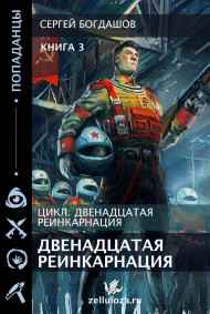 Богдашов Сергей - Двенадцатая реинкарнация 3