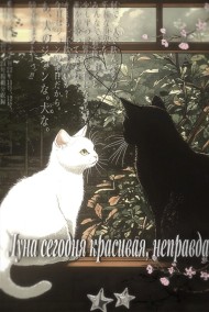 Луна сегодня красивая, неправда?
