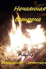 Обложка книги Нечаянная встреча