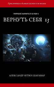 Вернуть себя. Том 13