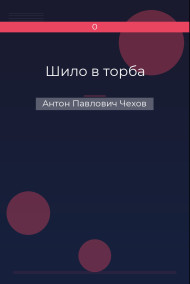Шило в торба