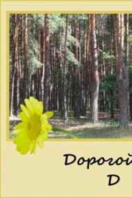 Обложка книги Дорогой Д