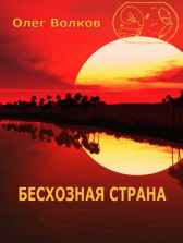 Бесхозная страна Волков Олег