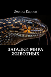 Загадки мира животных Леонид Карпов