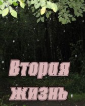 Вторая жизнь Рая Матвеева