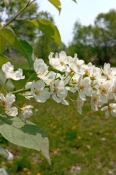 ЕДИНЕНИЕ ИСТОРИИ Глебов Виктор