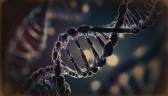 Тайны генома Р.А.К Милена Ливенцова