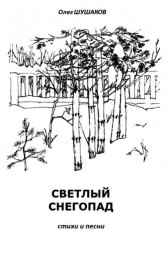 Светлый снегопад Олег ШУШАКОВ