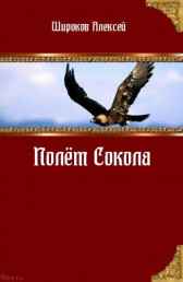 Полёт Сокола Широков Алексей
