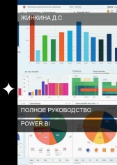 Руководство по Power BI Дарья Жинкина