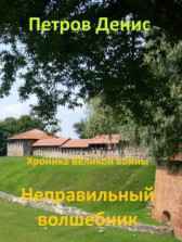 Неправильный волшебник Петров Денис