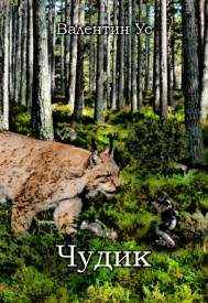 Иллюстрация к книге