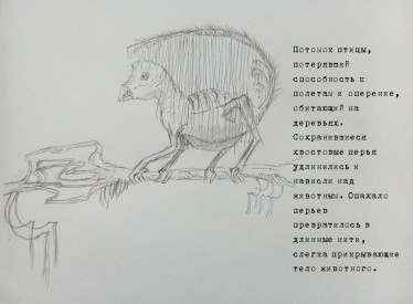Иллюстрация к книге