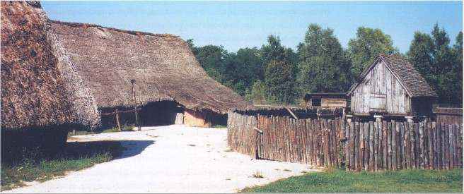 Поместье крысяка Крохобора.
