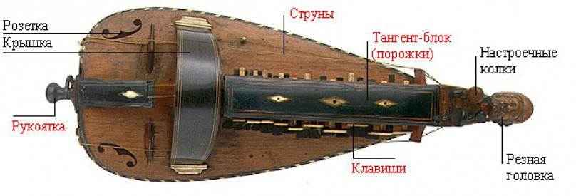органи́струм
