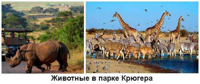 Иллюстрация к книге