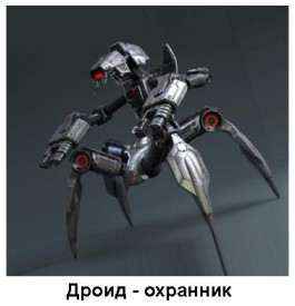 Глава 1