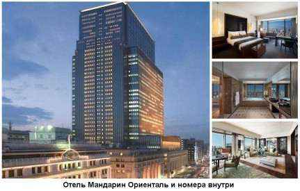 Глава 15