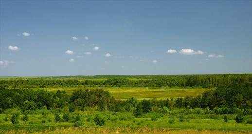 Кусок земли для ГГ