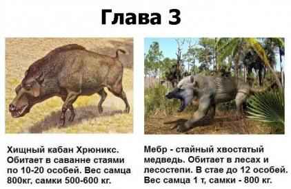 Животные вокруг