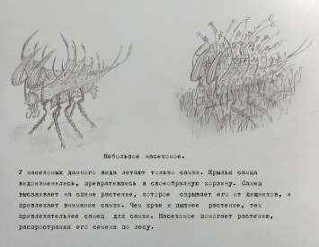 Иллюстрация к книге
