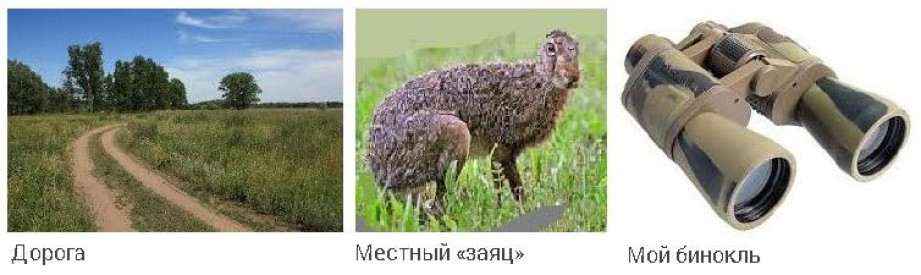Иллюстрация к книге