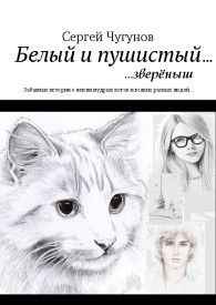 Иллюстрация к книге