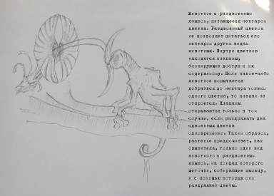 Иллюстрация к книге