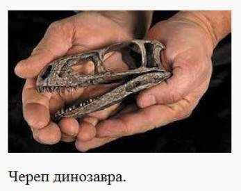 Иллюстрация к книге