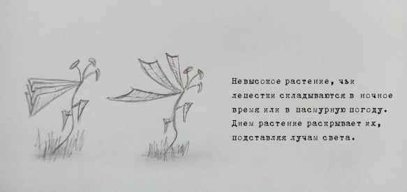 Иллюстрация к книге