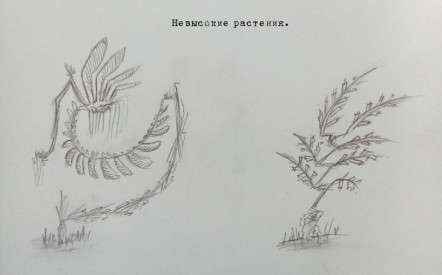 Иллюстрация к книге