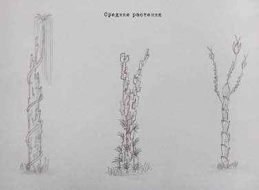 Иллюстрация к книге