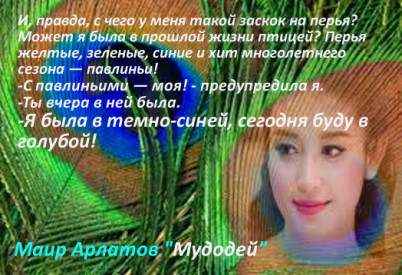Иллюстрация к книге