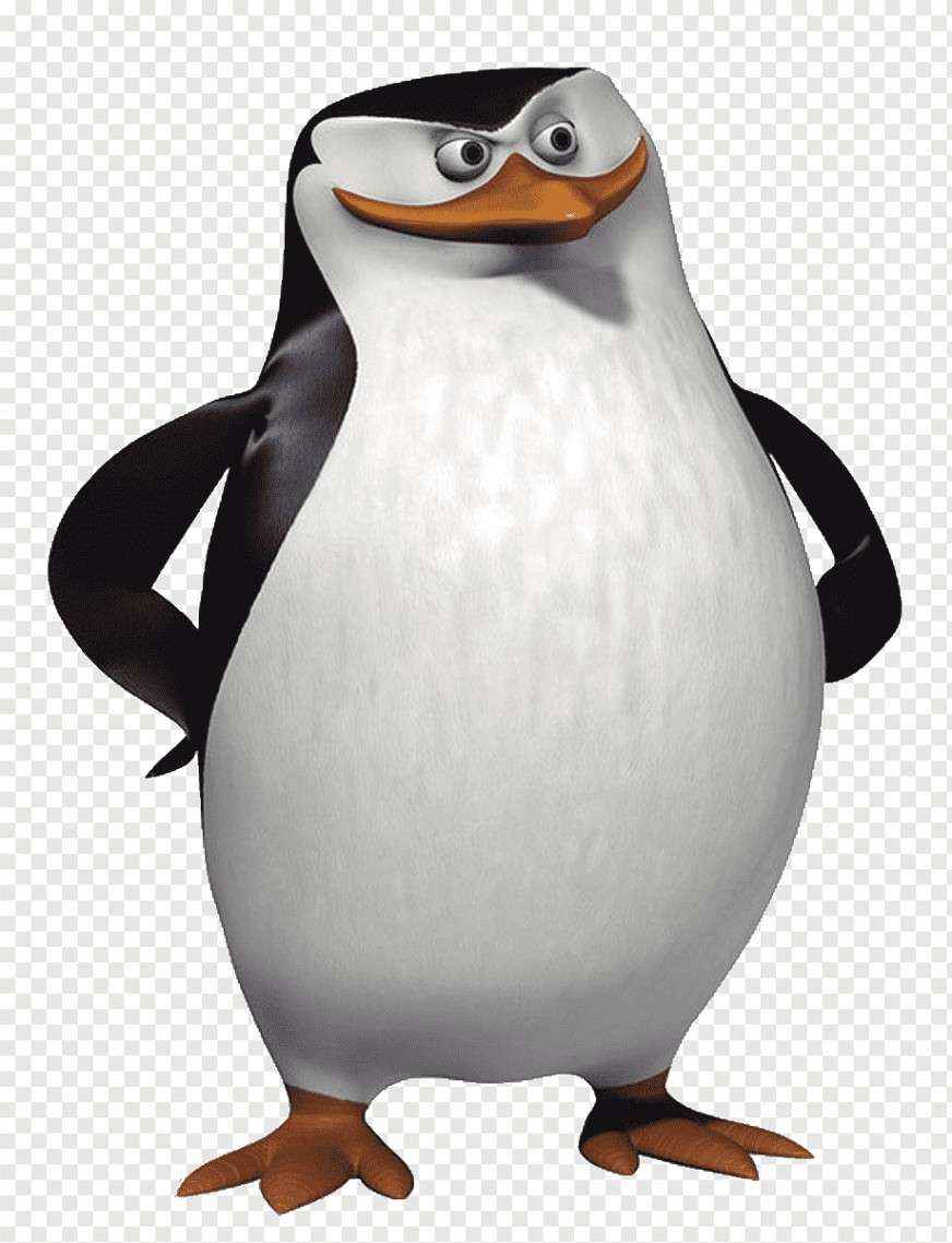 Шкипер
